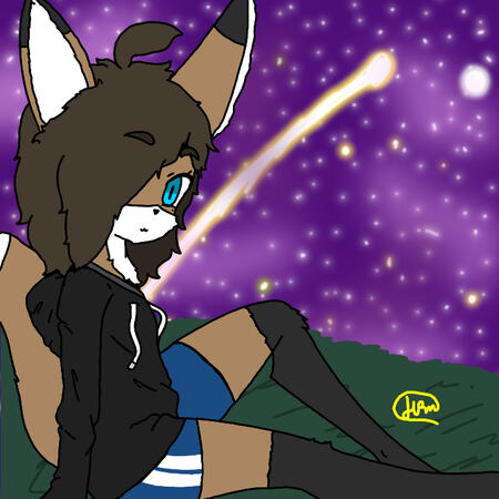 Looking at the stars